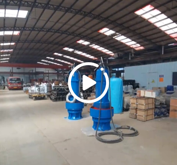 潛(qián)水軸流泵(beng)