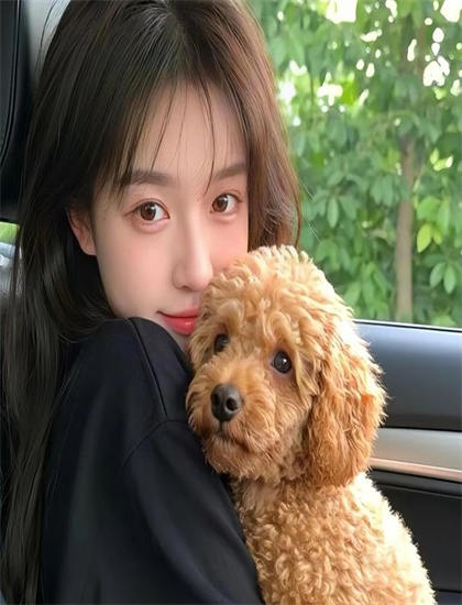 《极速前进第十九季》美学价值分析耐人寻味的：艺术美感与审美特征探讨，免费观看